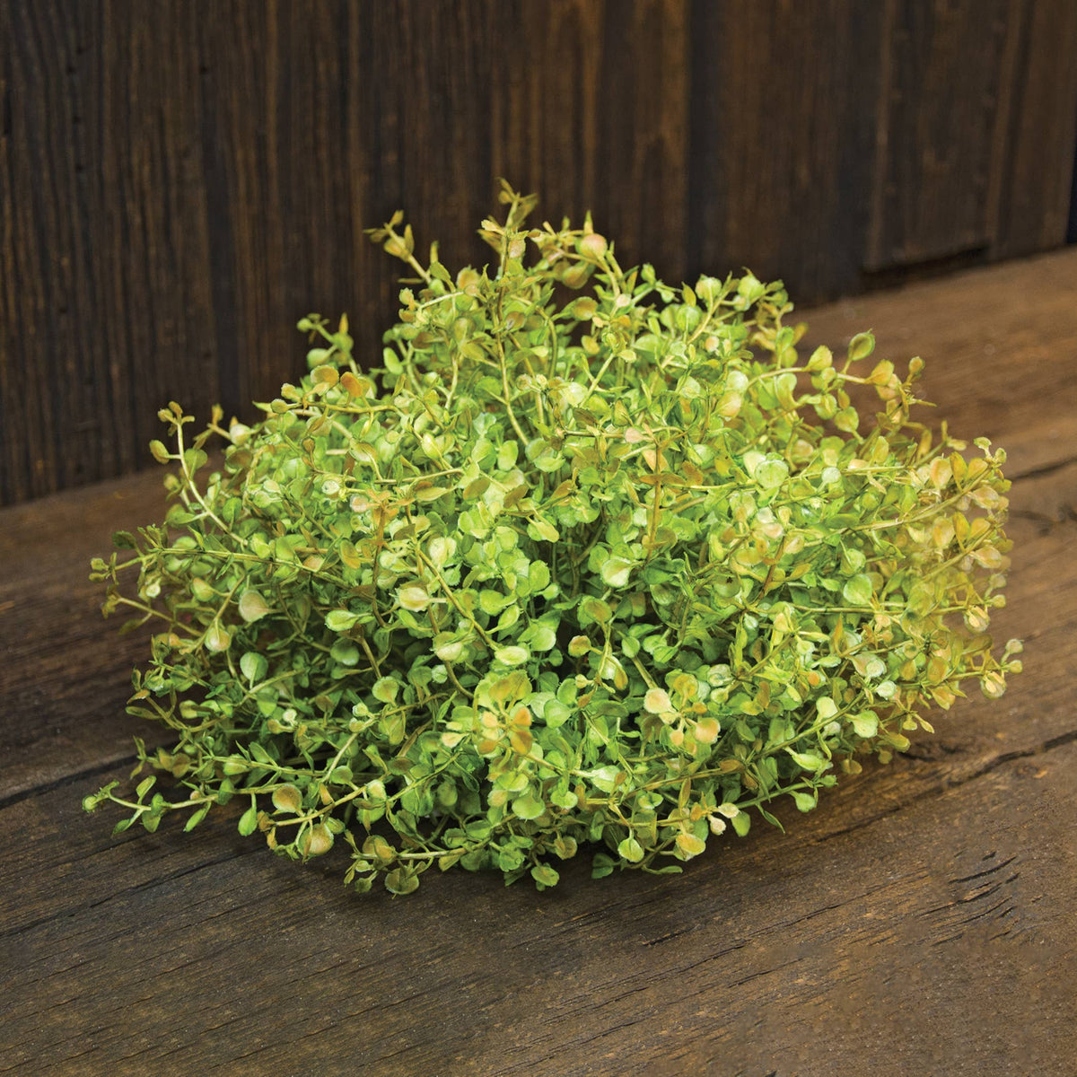 Baby's Grass Half Sphere - 7"