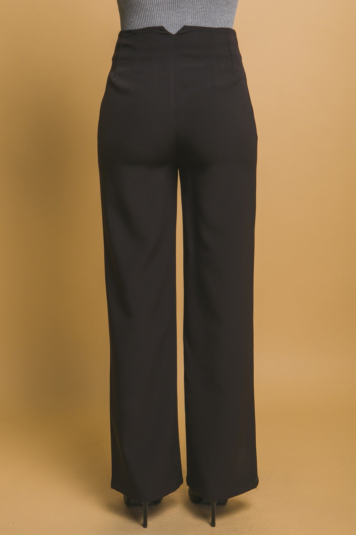 Classic Fit Pleated Pants- Black