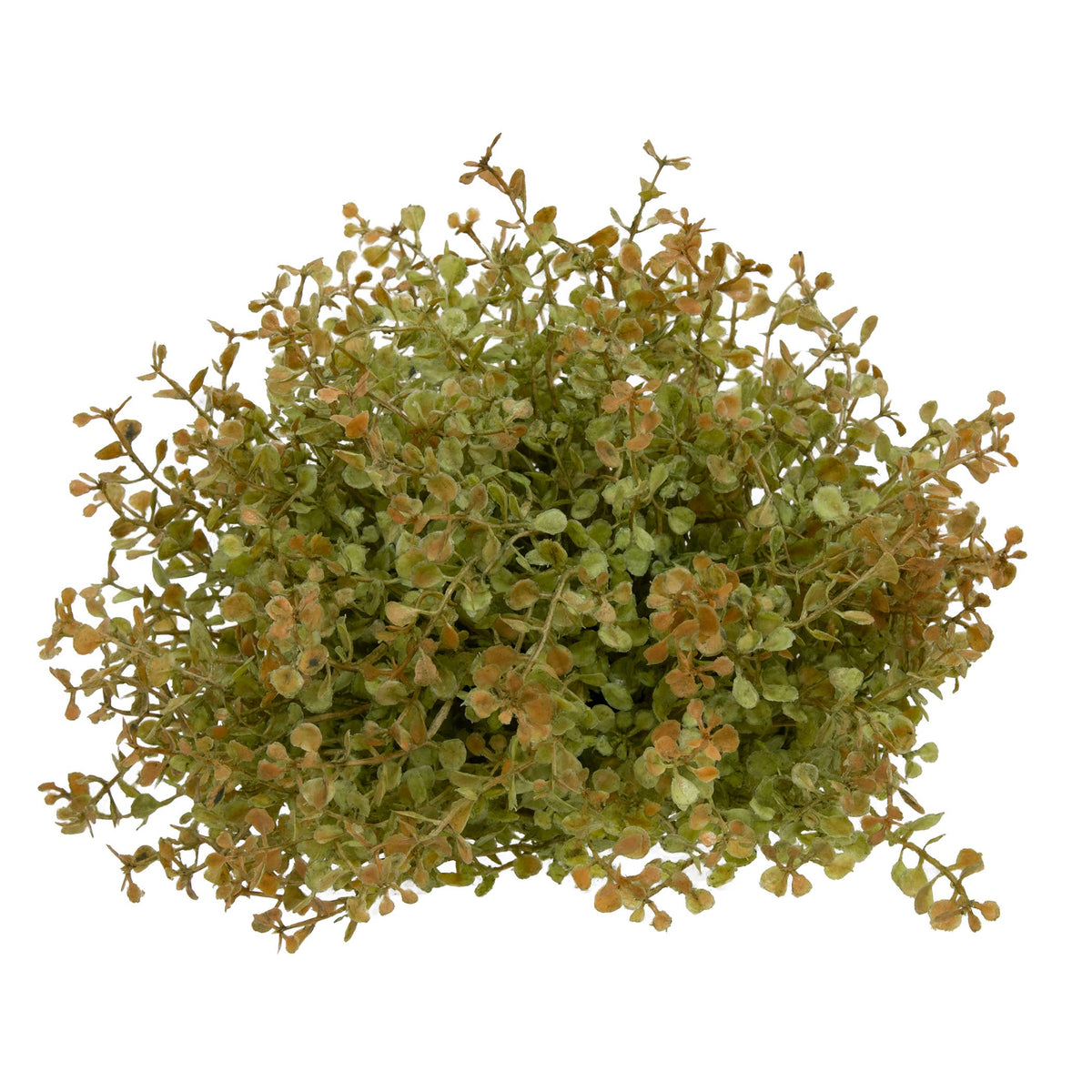 Baby's Grass Half Sphere - 7"