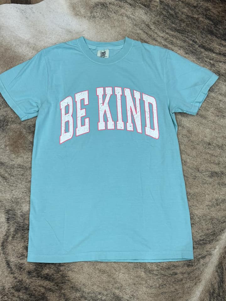 BE KIND tee... :)