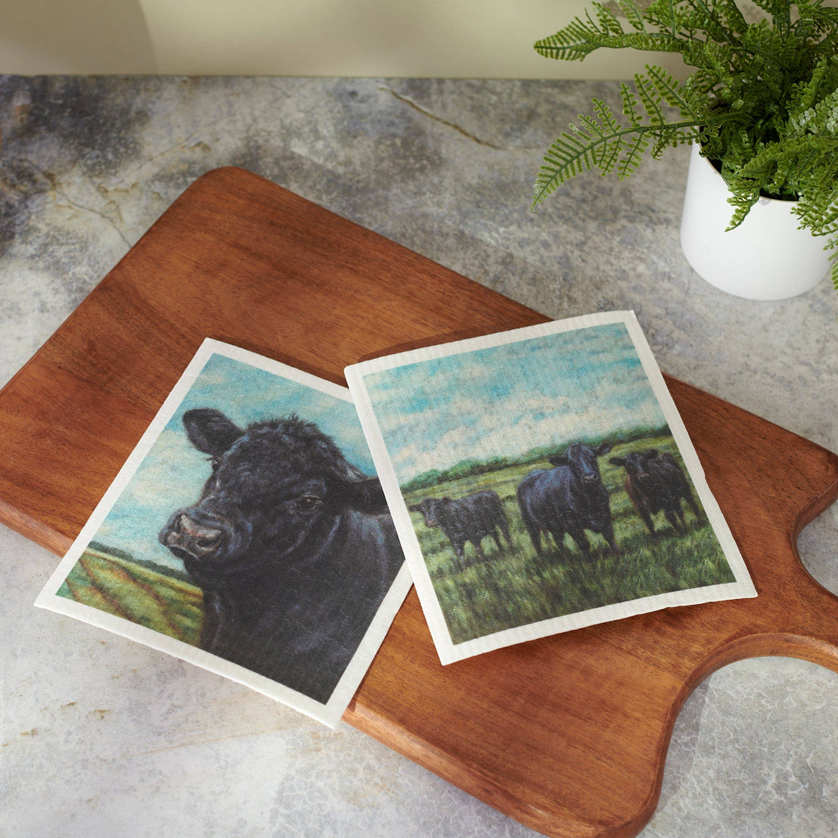 Angus Cows Swedish Dishcloth Set