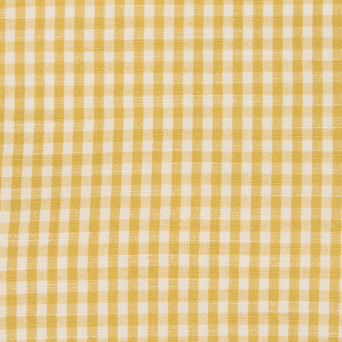Autumn Assorted Dishtowels